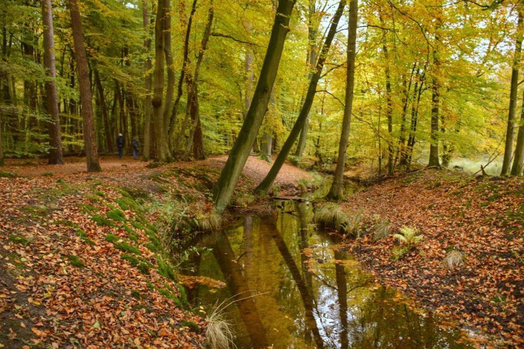 Herberg De Zwaan Elspeet Exterior foto